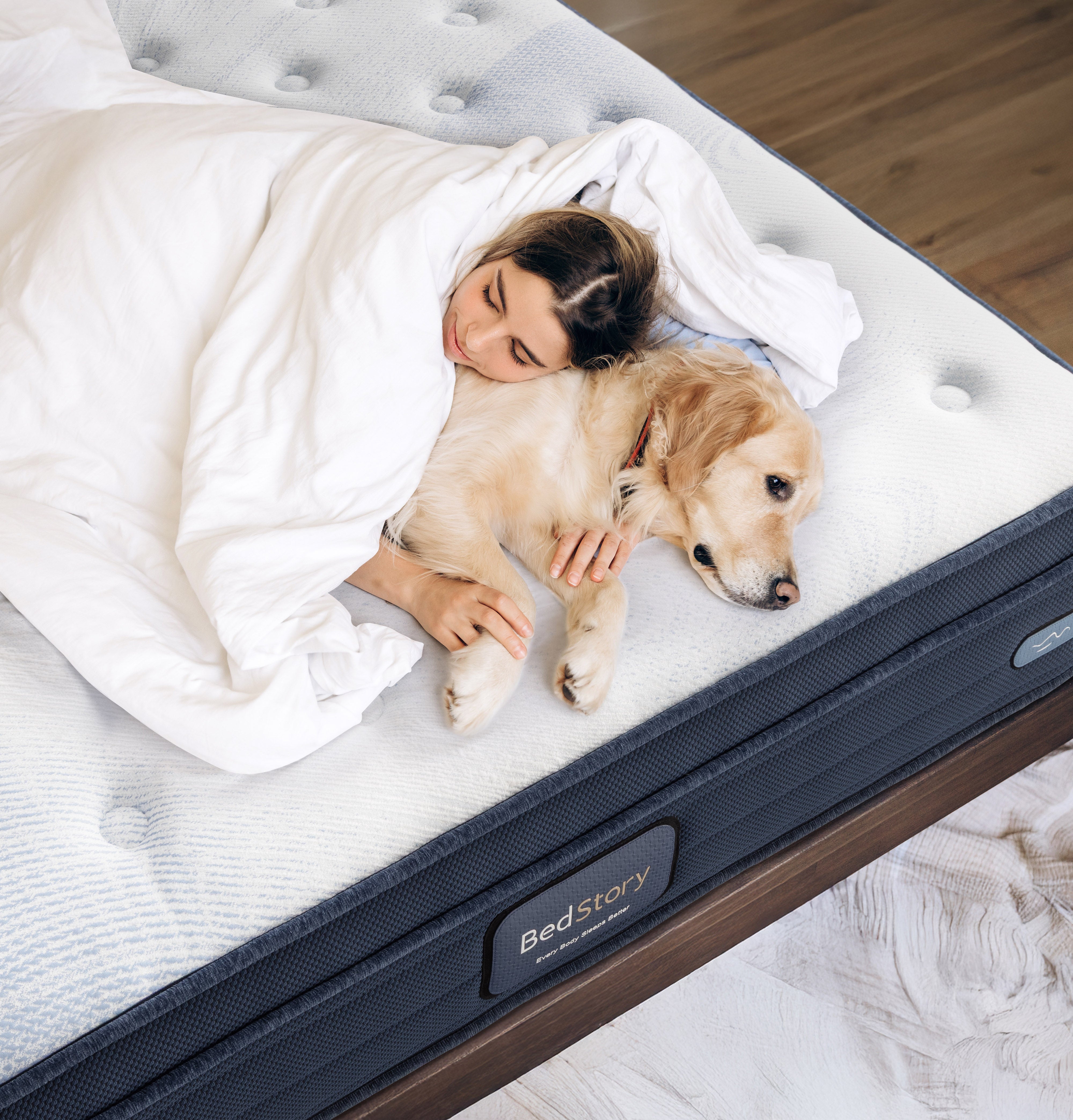 Designing a Pet-Friendly Bedroom That’s Still Stylish