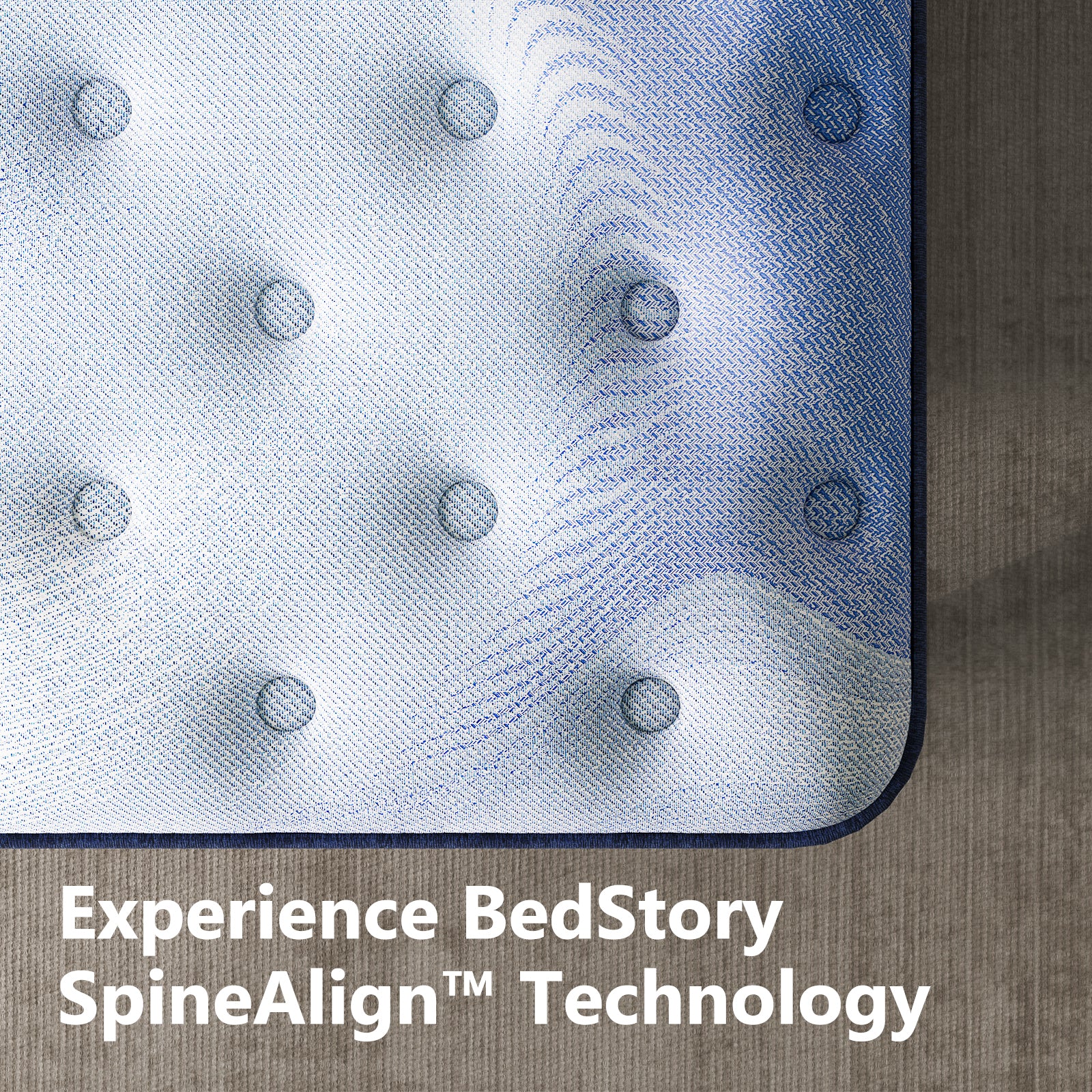 SPINE ALIGN Bundle