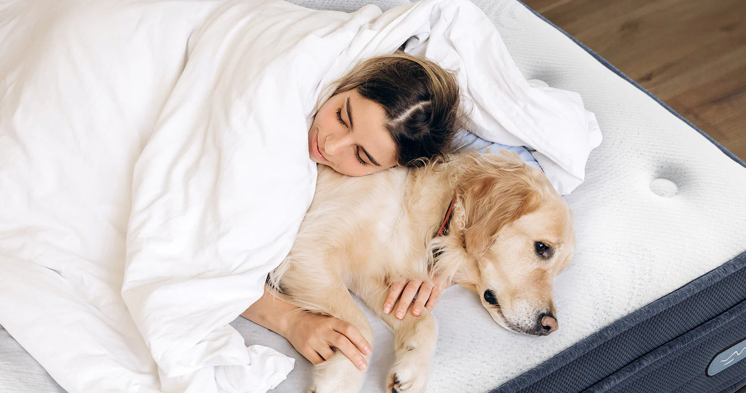 Designing a Pet-Friendly Bedroom That’s Still Stylish