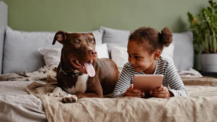 How to Protect Your Mattress from Pets and Kids