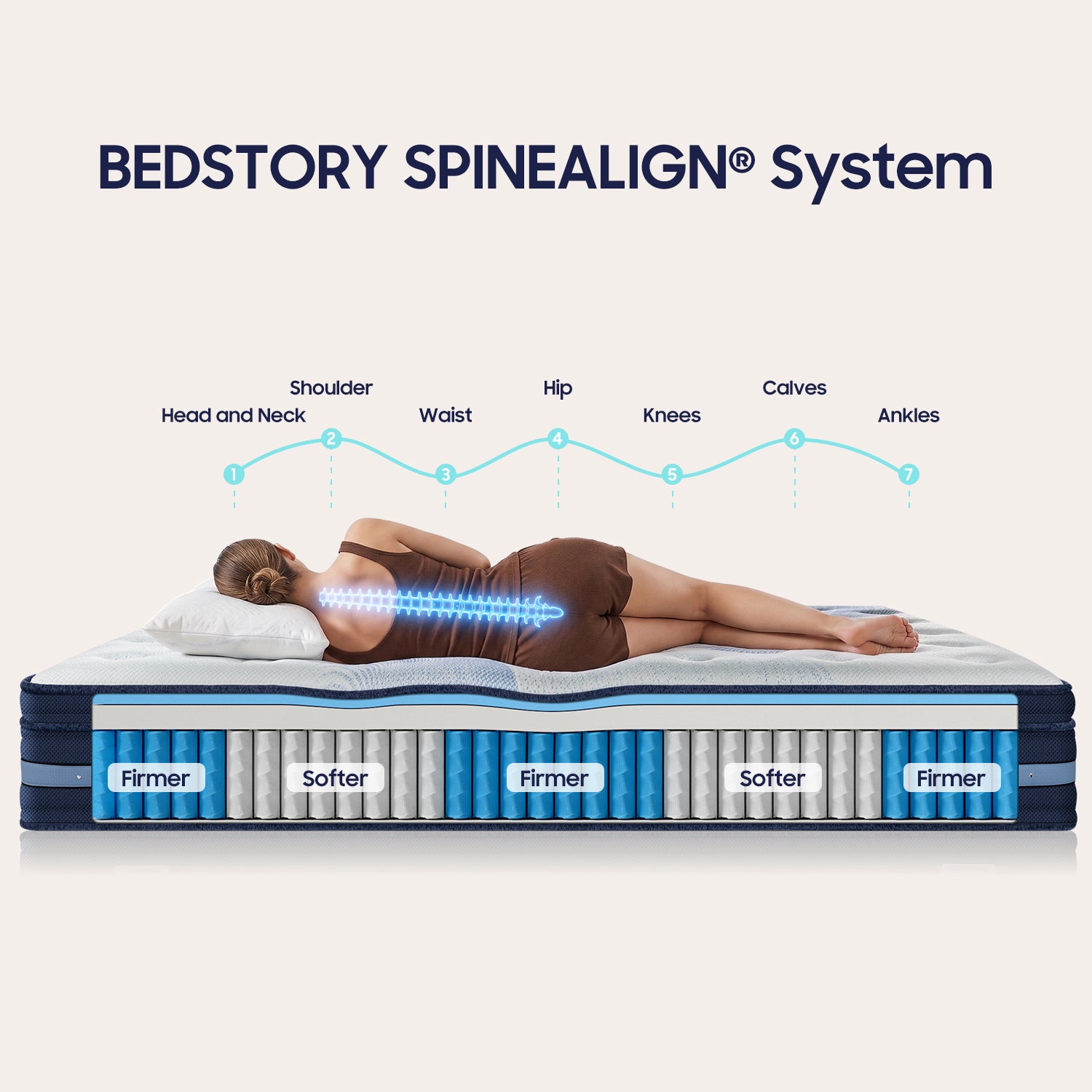 BEDSTORY SPINEALIGN® 12"