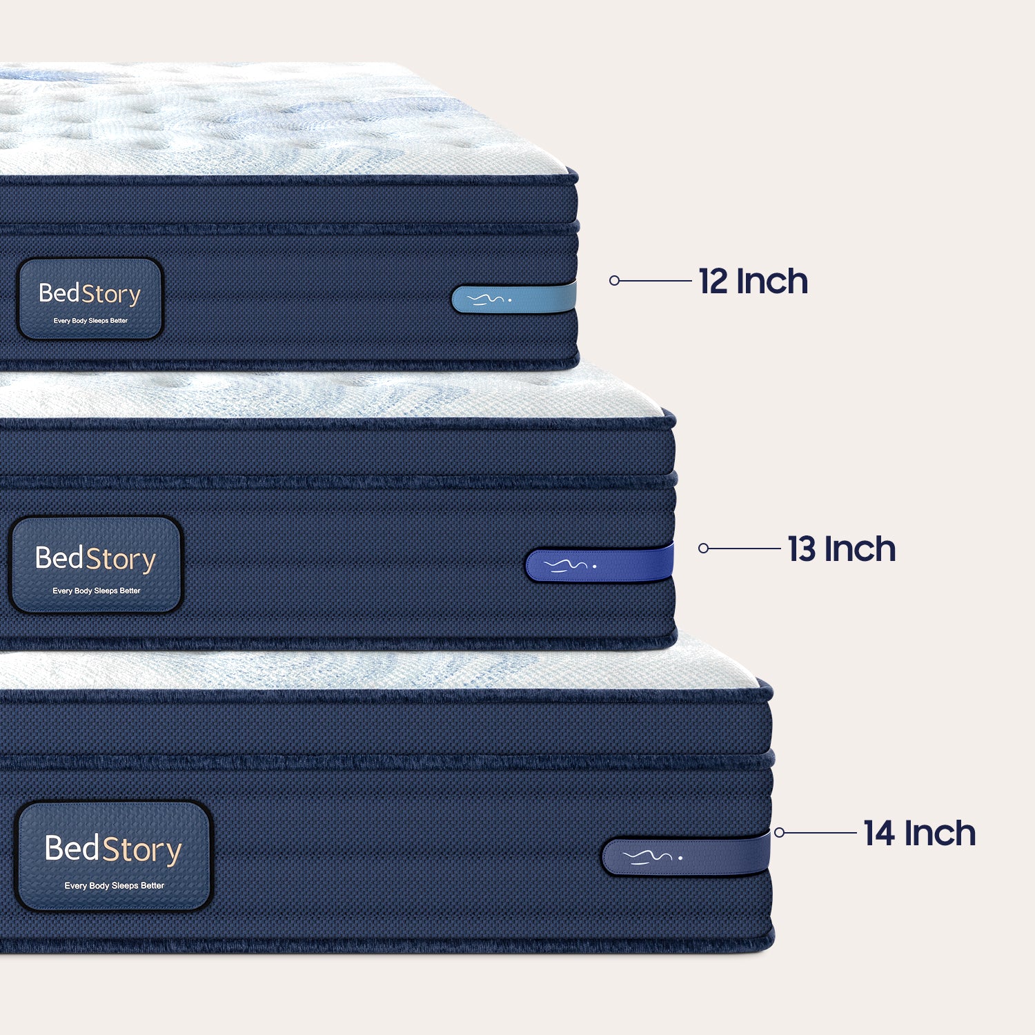 BEDSTORY SPINEALIGN® 12"
